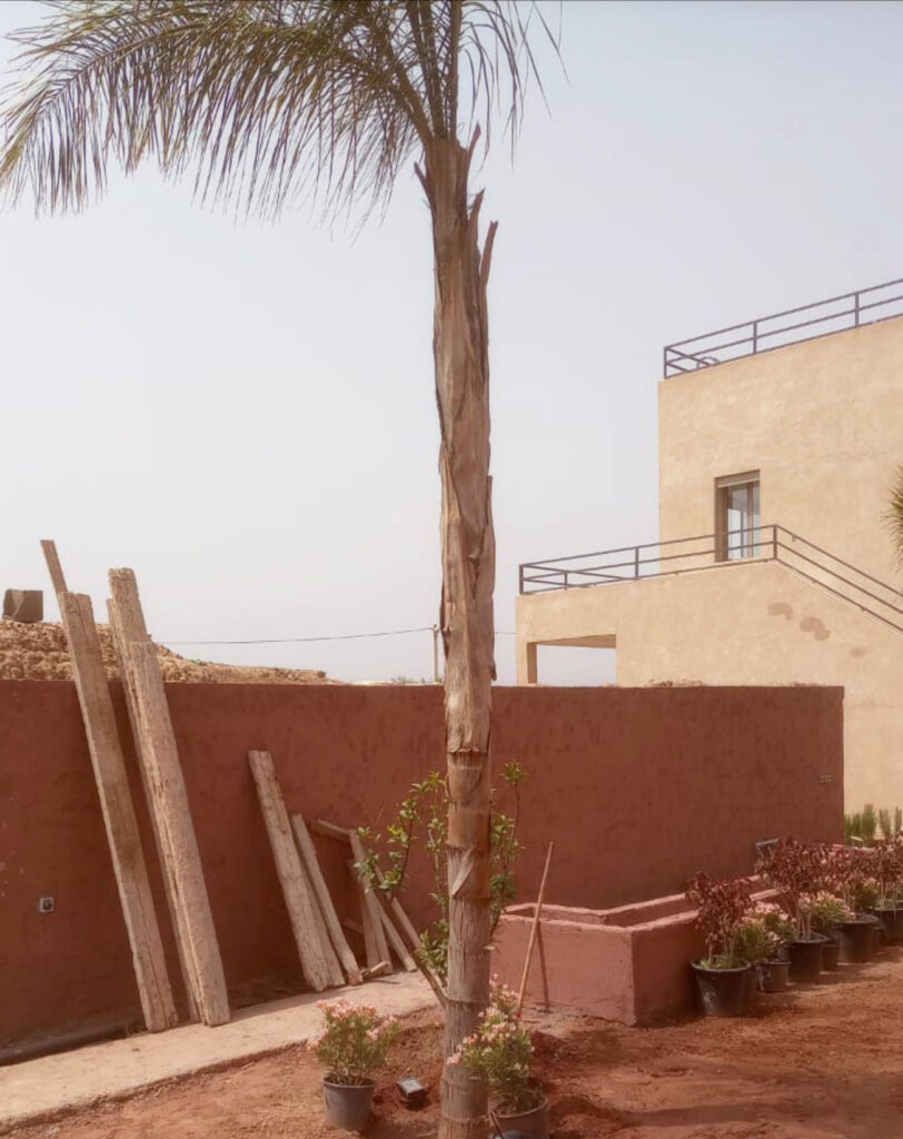 2. VHDS 16_DS06 copy